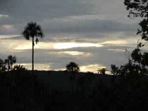 Atardecer en Canaima