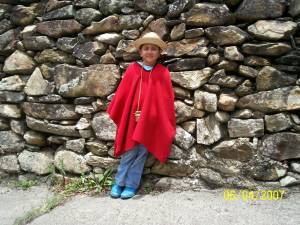 ni&ntilde;a andina