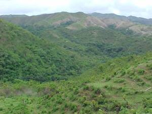 Cerro