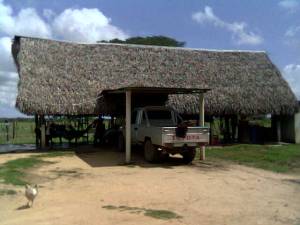 Ranchito de palma en la Finca La Providencia