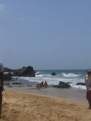 Corrales