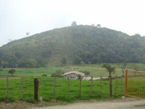 P&aacute;ramos de estado T&aacute;chira