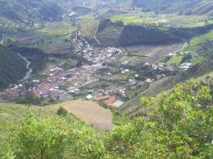 Mucuruba