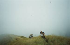 Topo Arvelo
