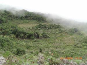 lagunazo