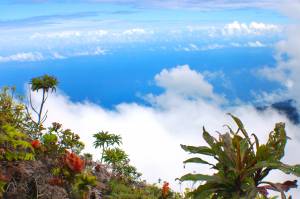 desde la cima del pico occidental