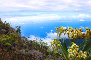 desde la cima del pico occidental
