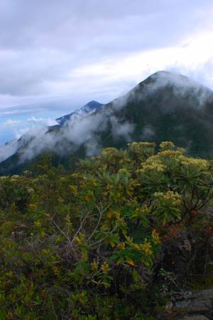 desde la cima del pico occidental
