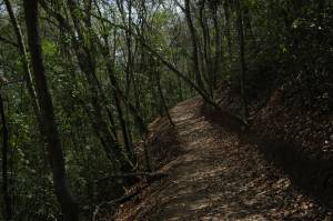 en la monta&ntilde;a