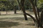 en el parque del este