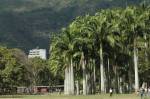 en el parque del este