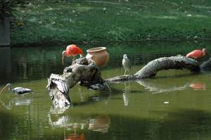 en el parque del este