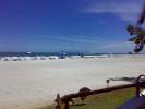 Isla de Coche