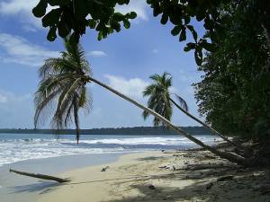 PLAYA CAHUITA LIMON CR