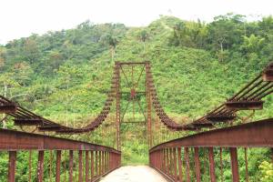 un puente hacia la nada
