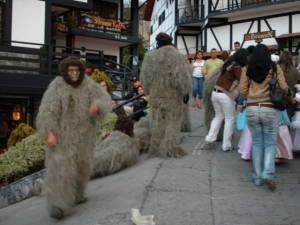 MONOS DE LA COLONIA TOVAR