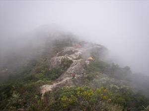 El Avila - Lagunazo