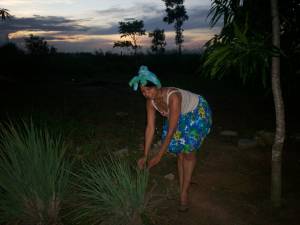BEBEDIZO CON MALOJILLO