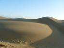 MEDANOS DE CORO