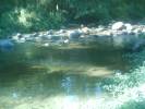 rio Clarito y friiiio