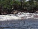 Body Rafting en el R&igrave;o "Cuyuni"