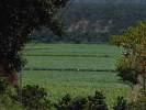 vista desde el Molino a la carretera principal hacia guarico
