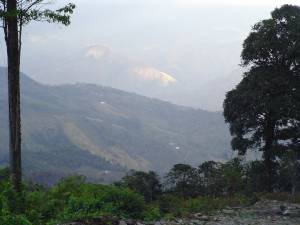 valle lindo