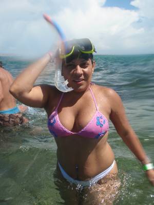 isla de coche
