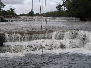 Manakachi en la Gran Sabana