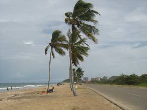 PLAYA LA CARACOLA / Isla Margarita
