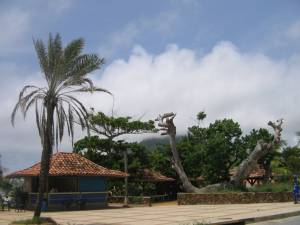 El Tirano / Isla de Margarita