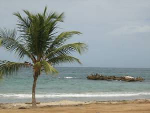 PLAYA EL TIRANO / ISLA MARGARITA