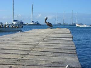 Los Roques