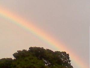 arcoiris