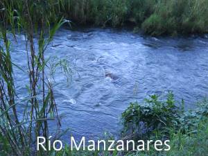 rio manzanare