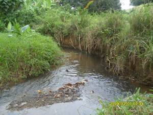 RIO MARARE
