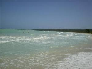 carnavales 2009 morrocoy