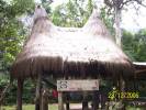 isla raton