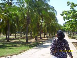 paseo del lago
