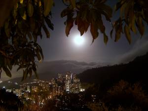 UNA NOCHE CLARA DE LUNA