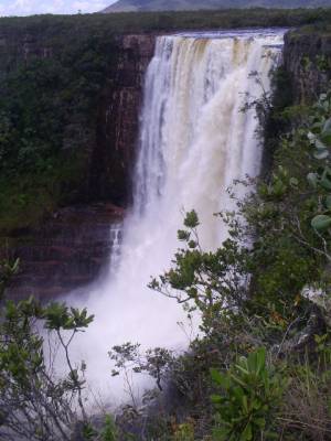 salto aponwao