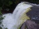 salto la golondrina