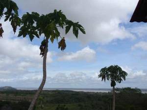CAMPAMENTO ORINOCO DISCOVERY