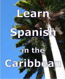 Spanish language courses 
