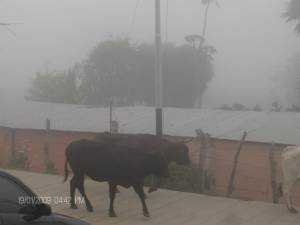 llegando al pueblo de borota
