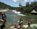 El tobogan de la selva