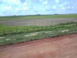 la sabanas de apure