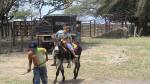 paseo en burro