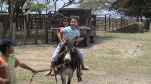 paseo en burro