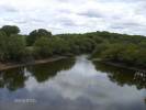 Bosque de galerias Edo Apure